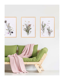 Botanical Art — wall art South Africa