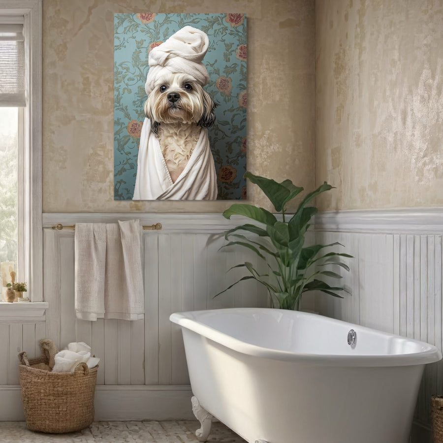 Shih Tzu in Style