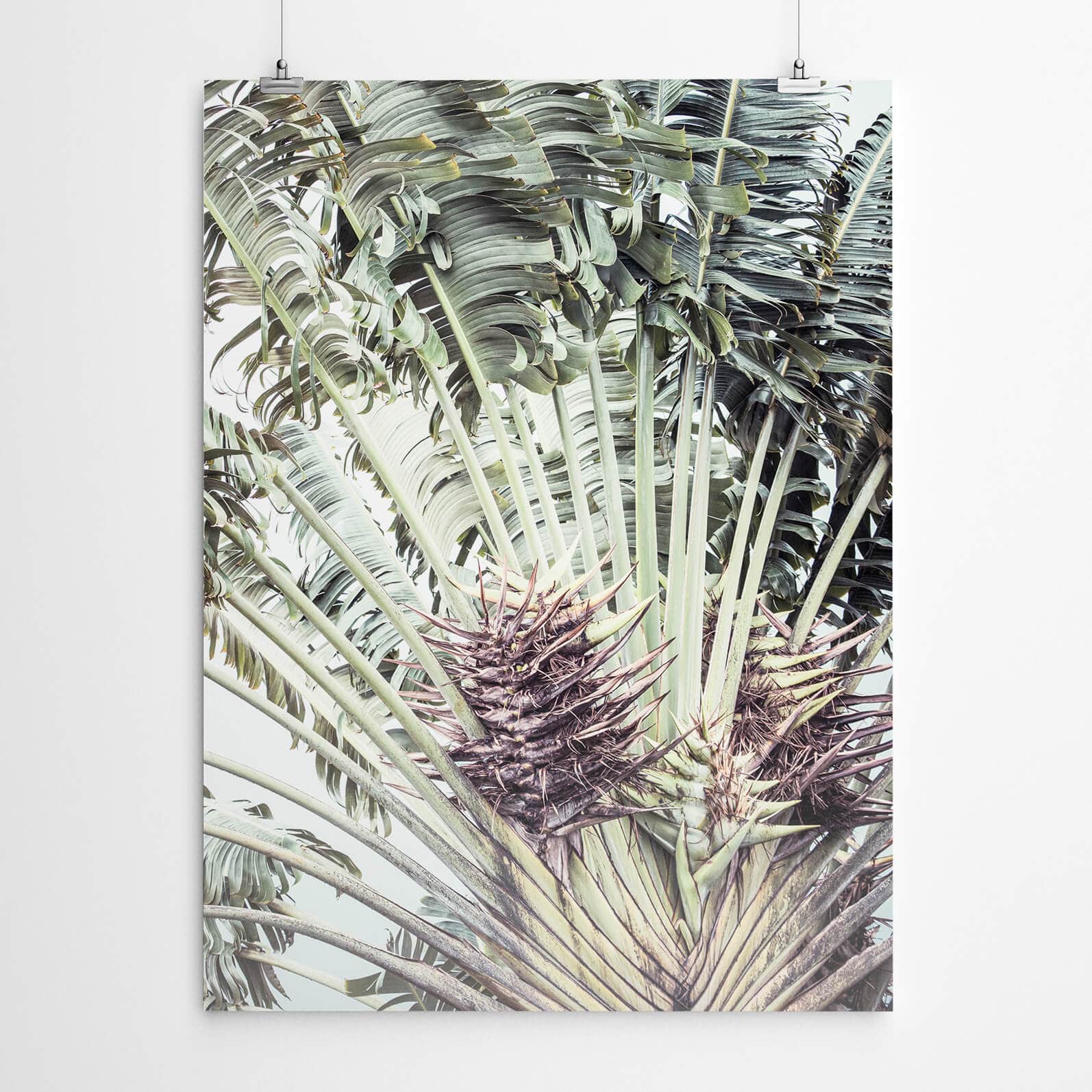 Banana Tree Art Print Banana Tree Art Print