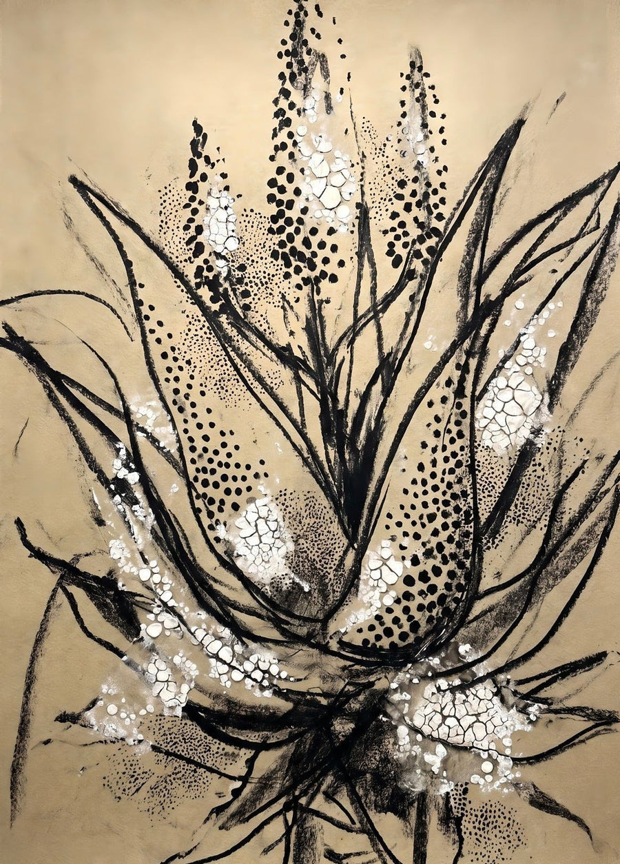 Botanical Seed Pod Study