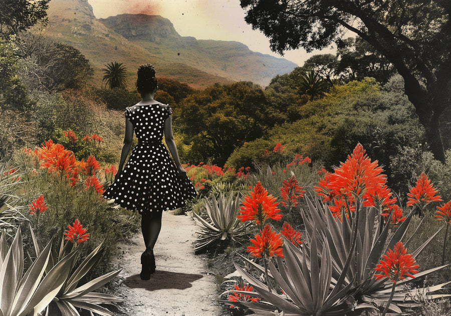 Cape Wonderer