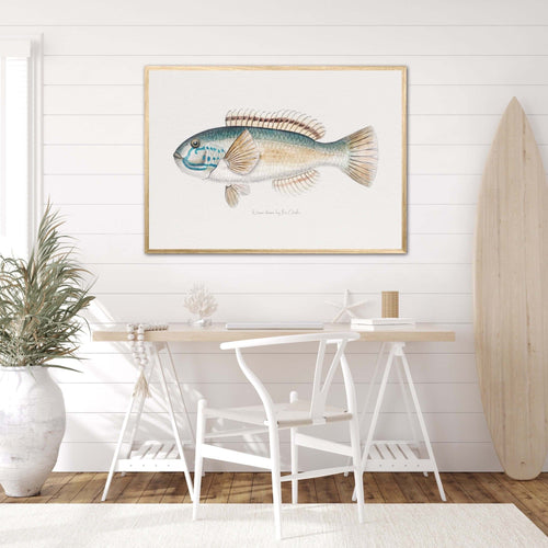 Fish Wall Art