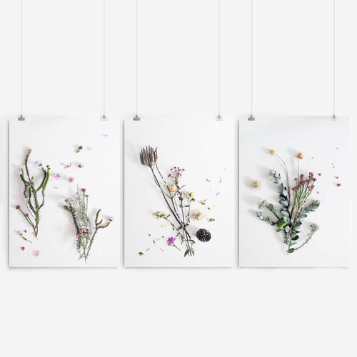 Floral Fynbos Art Print Set