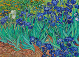 The Starry Night - Vincent Van Gogh