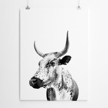 Artworld Wall Art Nguni Cow Art Print 587