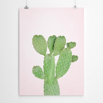 Artworld Wall Art Pink Cactus Print 687