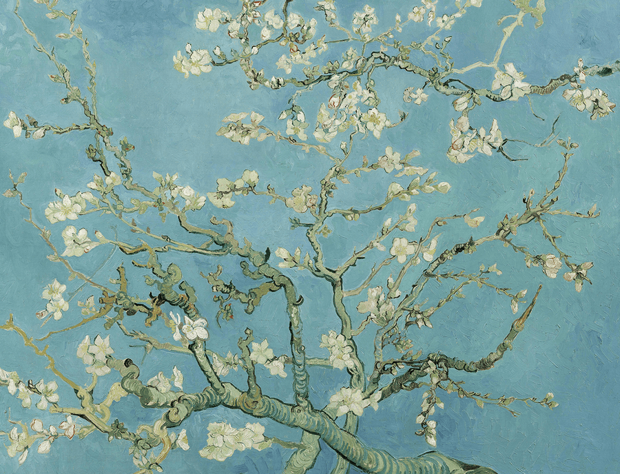 Vincent Van Gogh - Almond Blossoms
