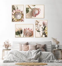 Pretty Proteas — wall art South Africa