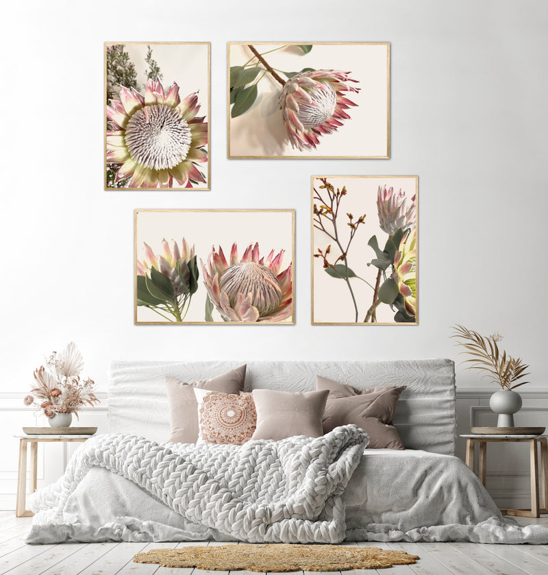 Pretty Proteas