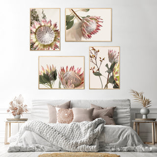 Pretty Proteas