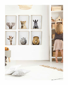 Animal Prints — wall art South Africa