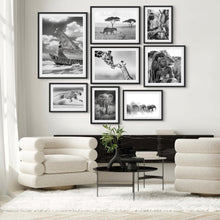 African Grace Gallery Wall — wall art South Africa