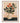 Autumn Leaves Wall Art