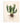 Cactus Wall Art Print