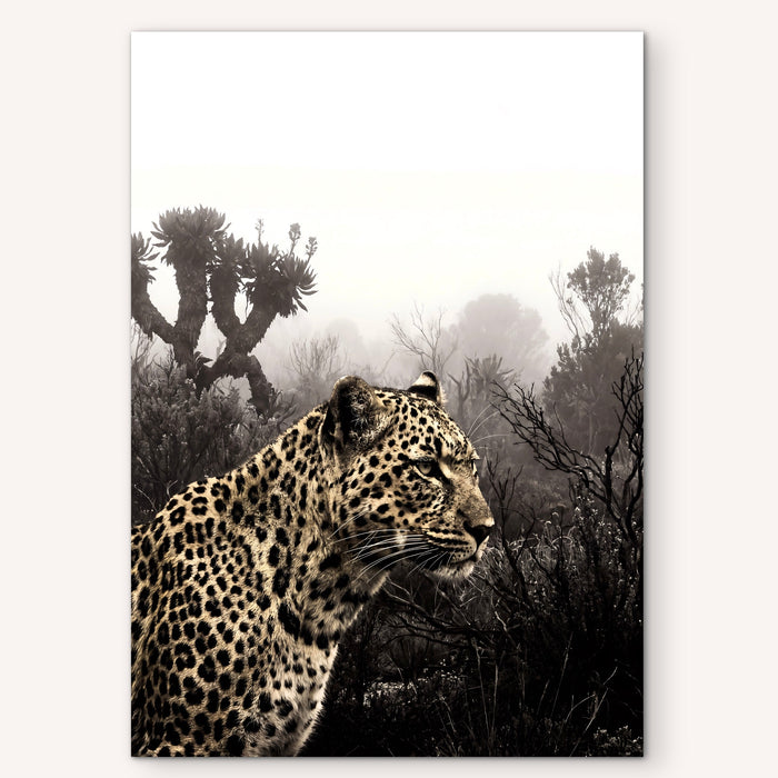 Desert Leopard Sentinel
