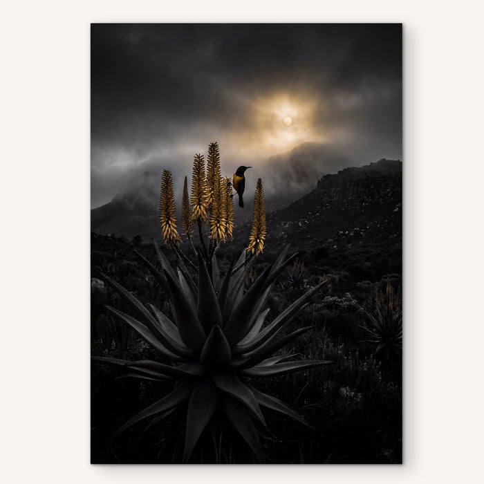 Desert Bloom Under Storm