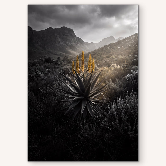 Golden Bloom Desert