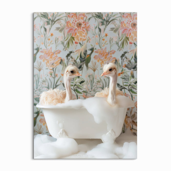 Feathered Fun