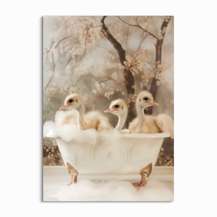 Bubbly Ostrich Trio