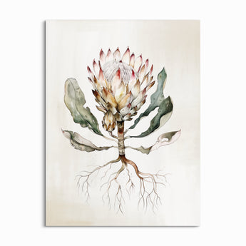 King Protea ll