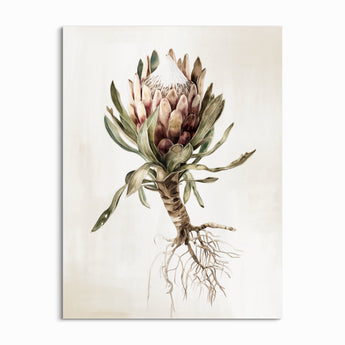 King Protea l