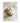 Seashell whisper