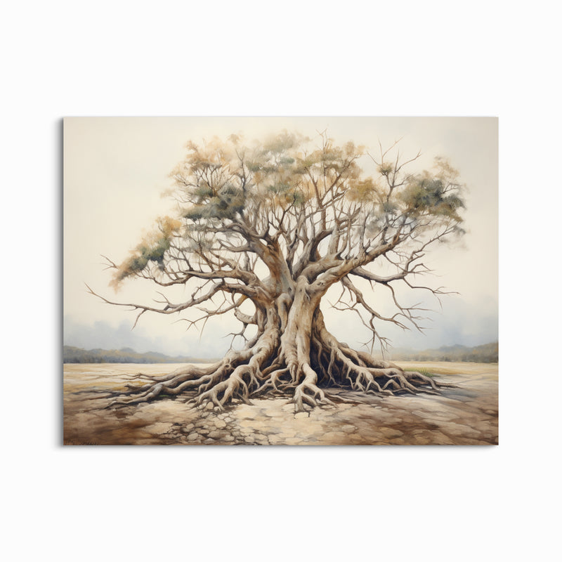 Nature Illustrations