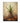 Agave Reverie