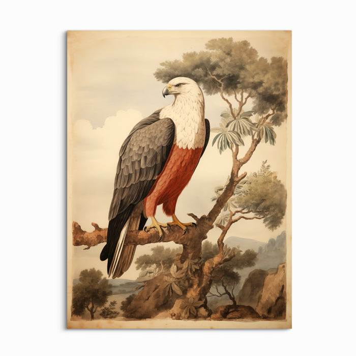 Noble Eagle