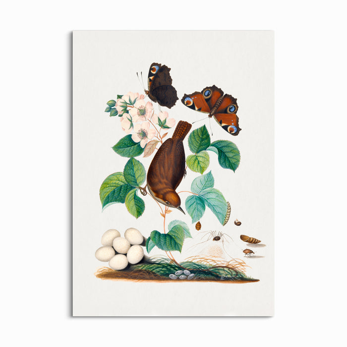 Morning Songbird & Blossoms