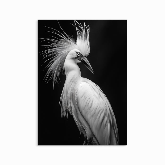 Feathered silhouette