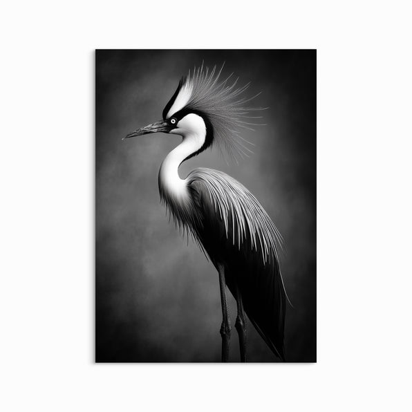 Graceful Heron