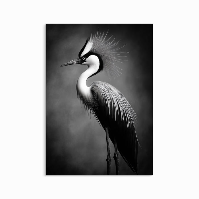 Graceful Heron
