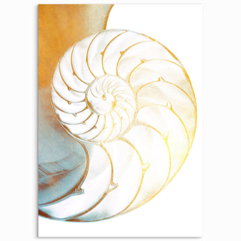 Shell Beach House Wall Decor