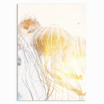 Jellyfish Beach House Art