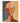 Fragmented Identity