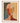 Fragmented Identity