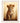Brave Cub