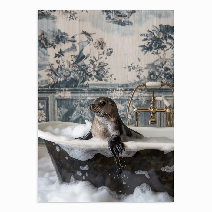 Seal Serenity