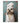 Shih Tzu in Style