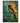 Tropical Sunset Trogon
