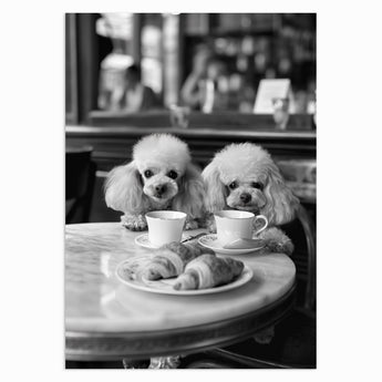 Poodles at the Café