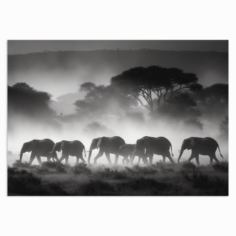 Elephant Dawn