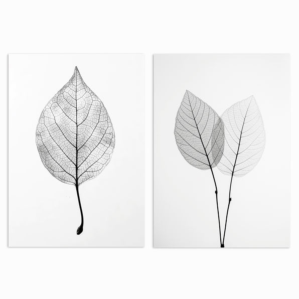 Whispers of Nature Set