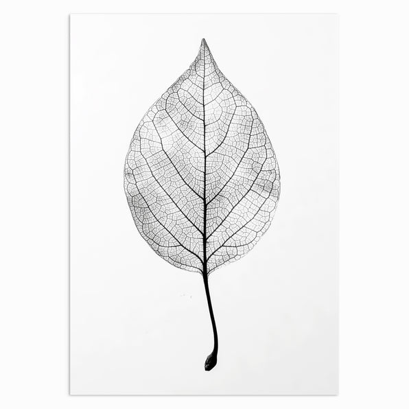 Solitary Leaf