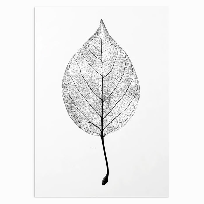 Solitary Leaf