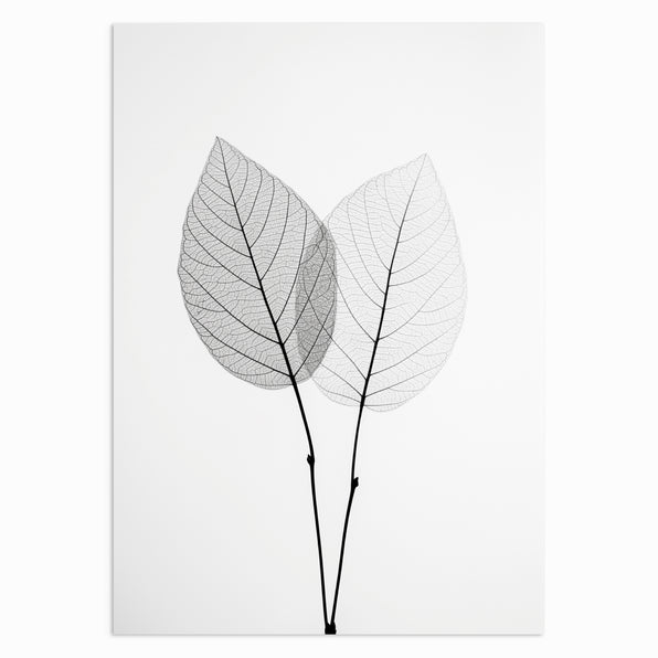 Twin Leaves