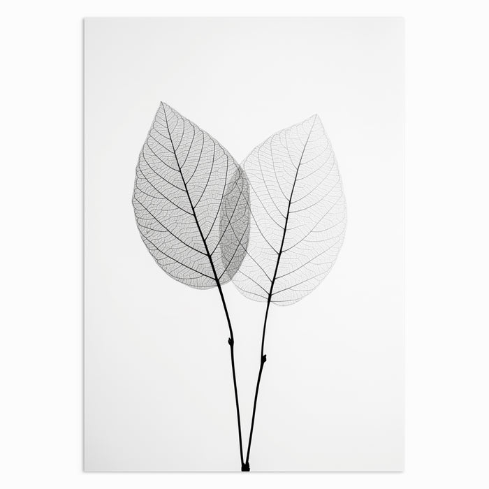 Twin Leaves