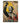 Mandela’s Triumph