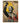 Mandela’s Triumph
